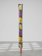 Small Size Grass Broom